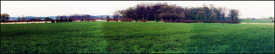 from the Northeast Corner - Spring