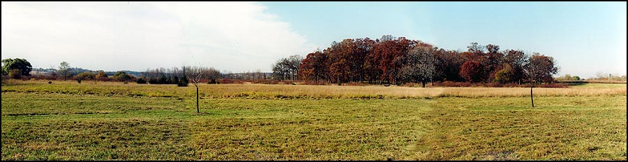 From the Norhteast Corner - Fall