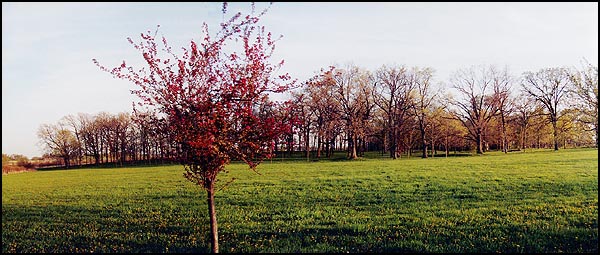 From Northeast Corner - Spring