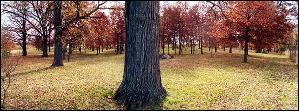 Linear Mounds from West - Fall