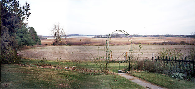 from the Northwest Corner - Fall