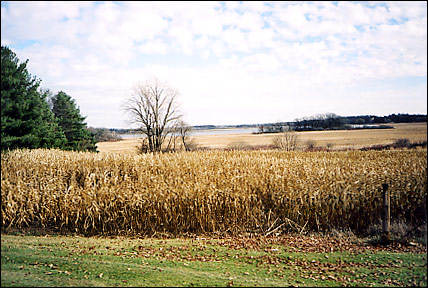 from the Northwest Corner - Fall