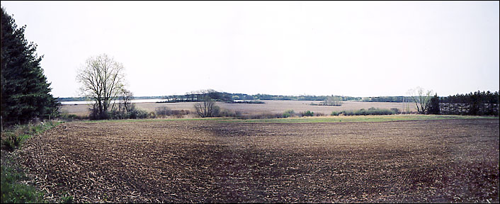 from the Northwest Corner - Spring