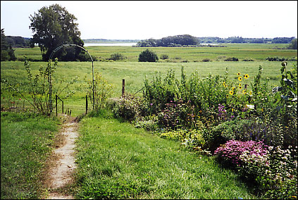 from the Northwest Corner - Summer