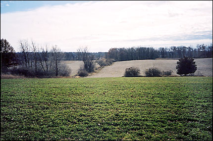 from the Center Middle - Fall