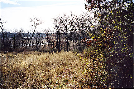 from the Center South - Fall
