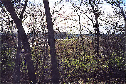 from the Center South - Fall