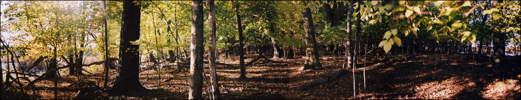 From Dunn #4 North Middle to South - Fall