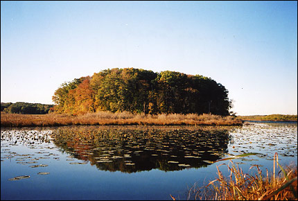 From the North, AM - Fall
