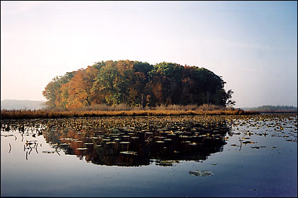 from the North - Fall
