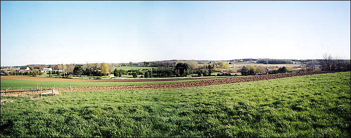 from Adjacent Property - Spring