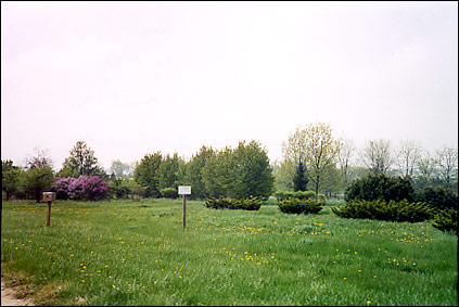 from the North Entrance - Spring