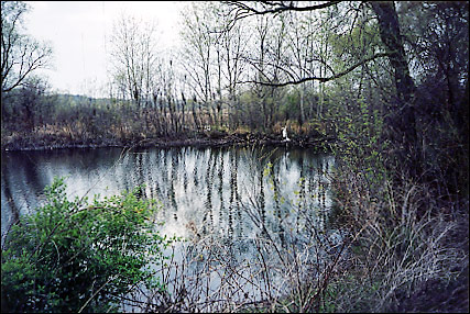 from Southwest Deep Pond - Spring